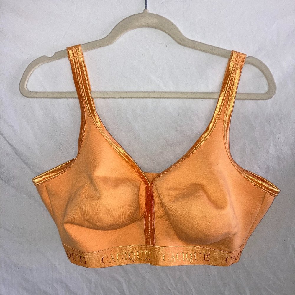 Lane Bryant - Cacique - 40F - Sports Bra